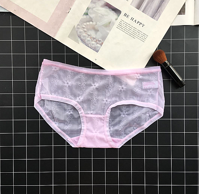 Transparent Mesh Panties with Delicate Floral Details-Light Pink-Theone Apparel