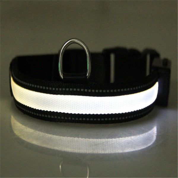 Fluorescent Dog Collar For Nighttime Visibility