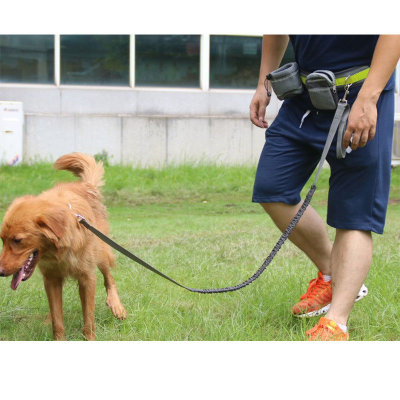 Adjustable Hands Free Dog Leash For Jogging And Walking