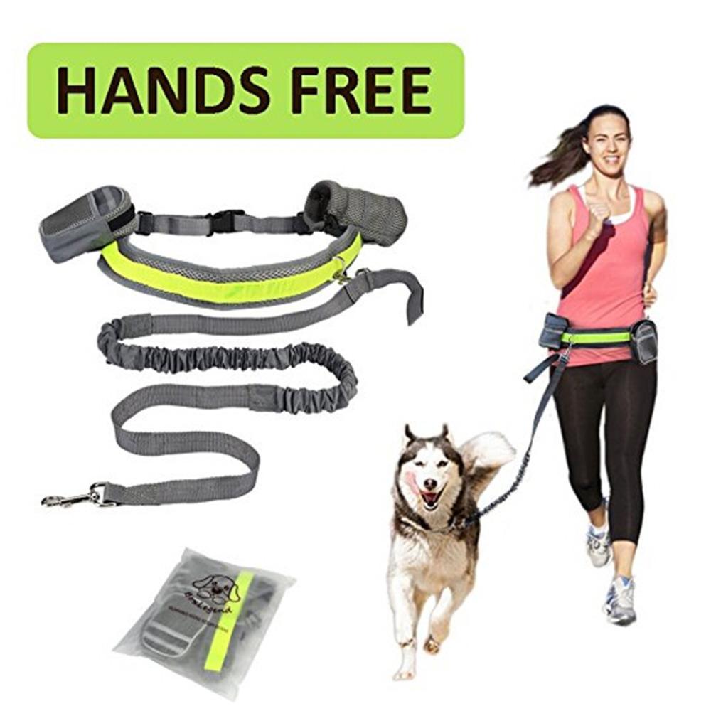Adjustable Hands Free Dog Leash For Jogging And Walking