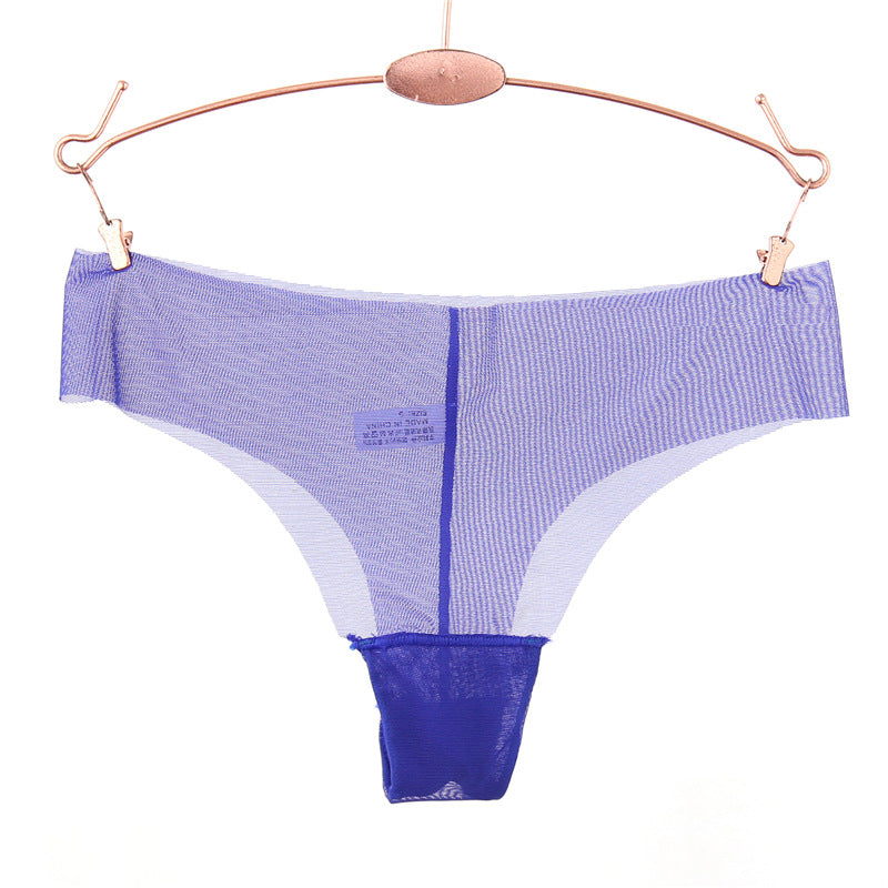 Raw Edge Transparent Mesh Thong Panty