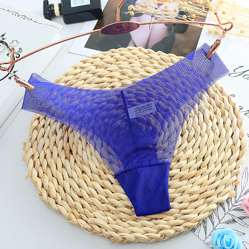 Racy Sheer Mesh Thong Panty