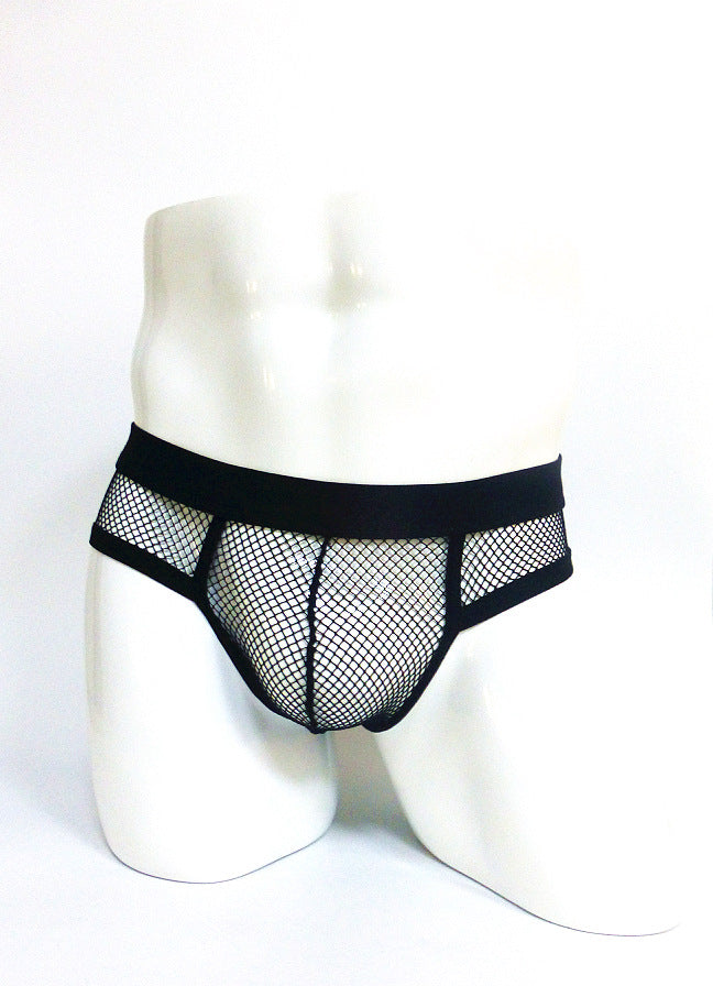 Sheer Mesh Fish Net Thong Briefs