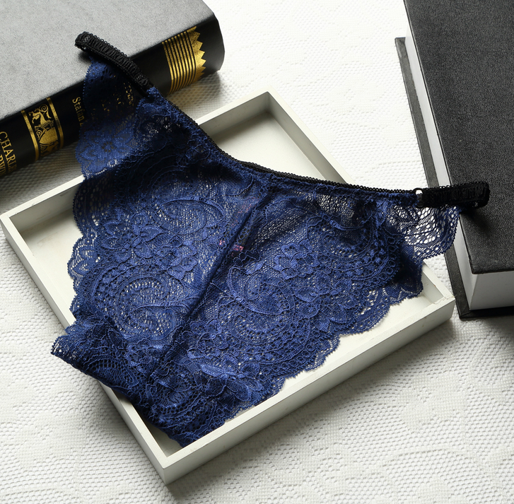 Full Coverage Brief Style Lace Underwear-Dark Blue-Theone Apparel