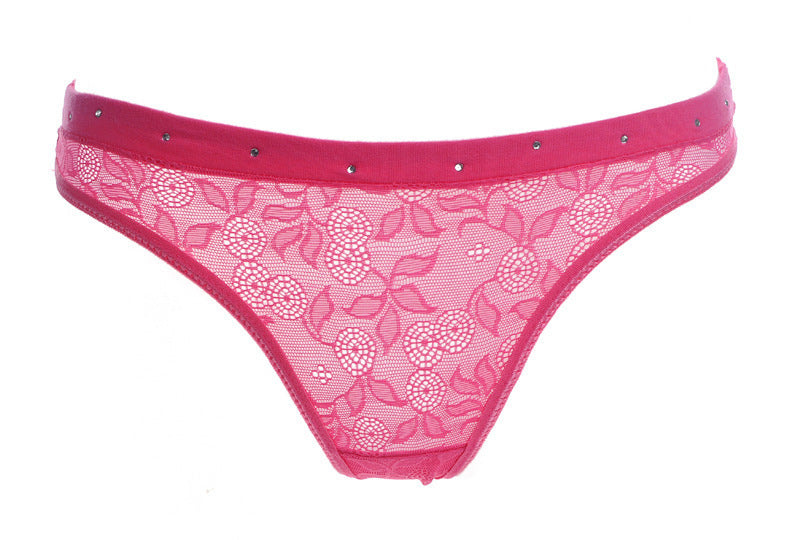 Transparent Black Lace Briefs with Ornate Waistband-Rose Red-Theone Apparel